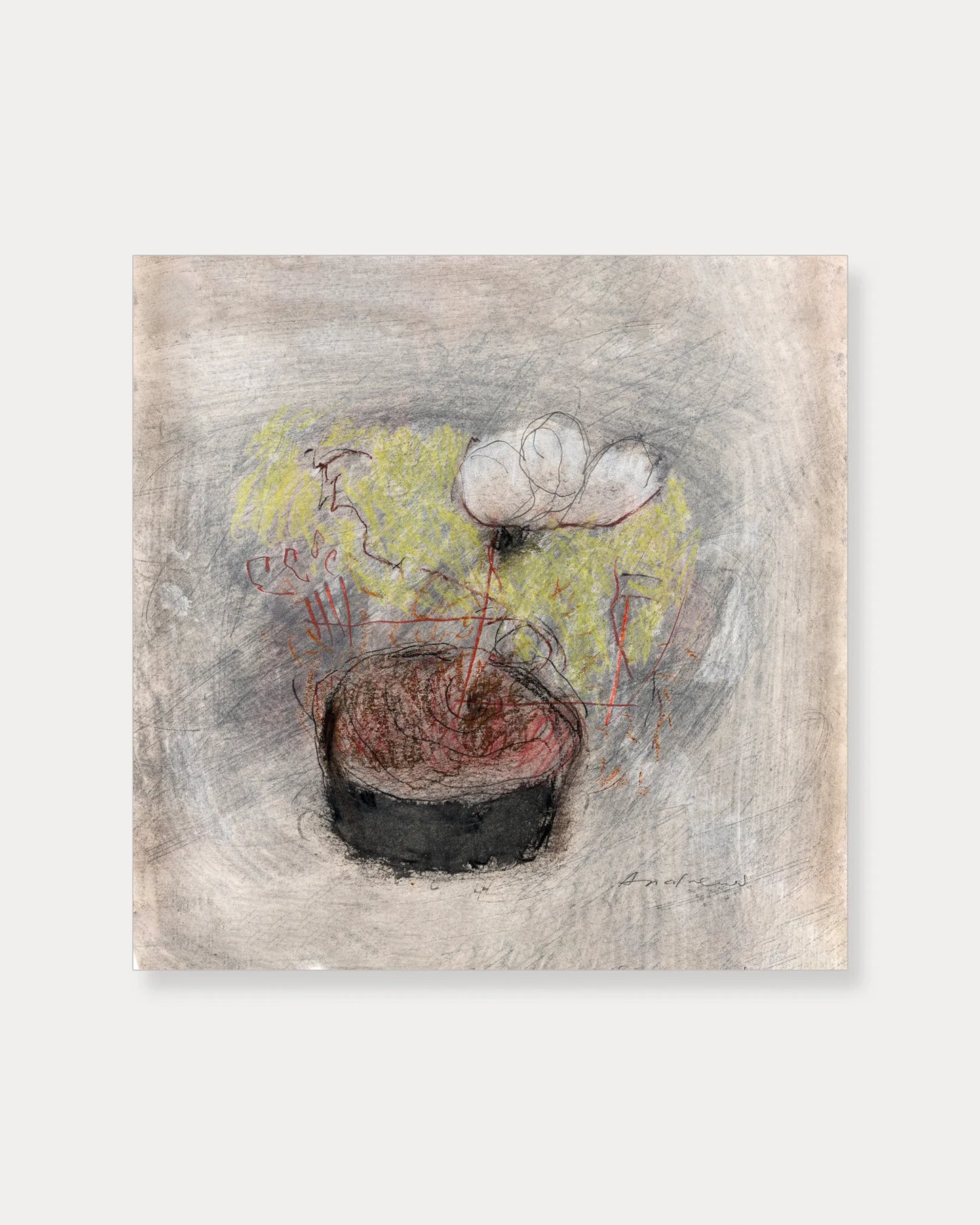 Potted flower