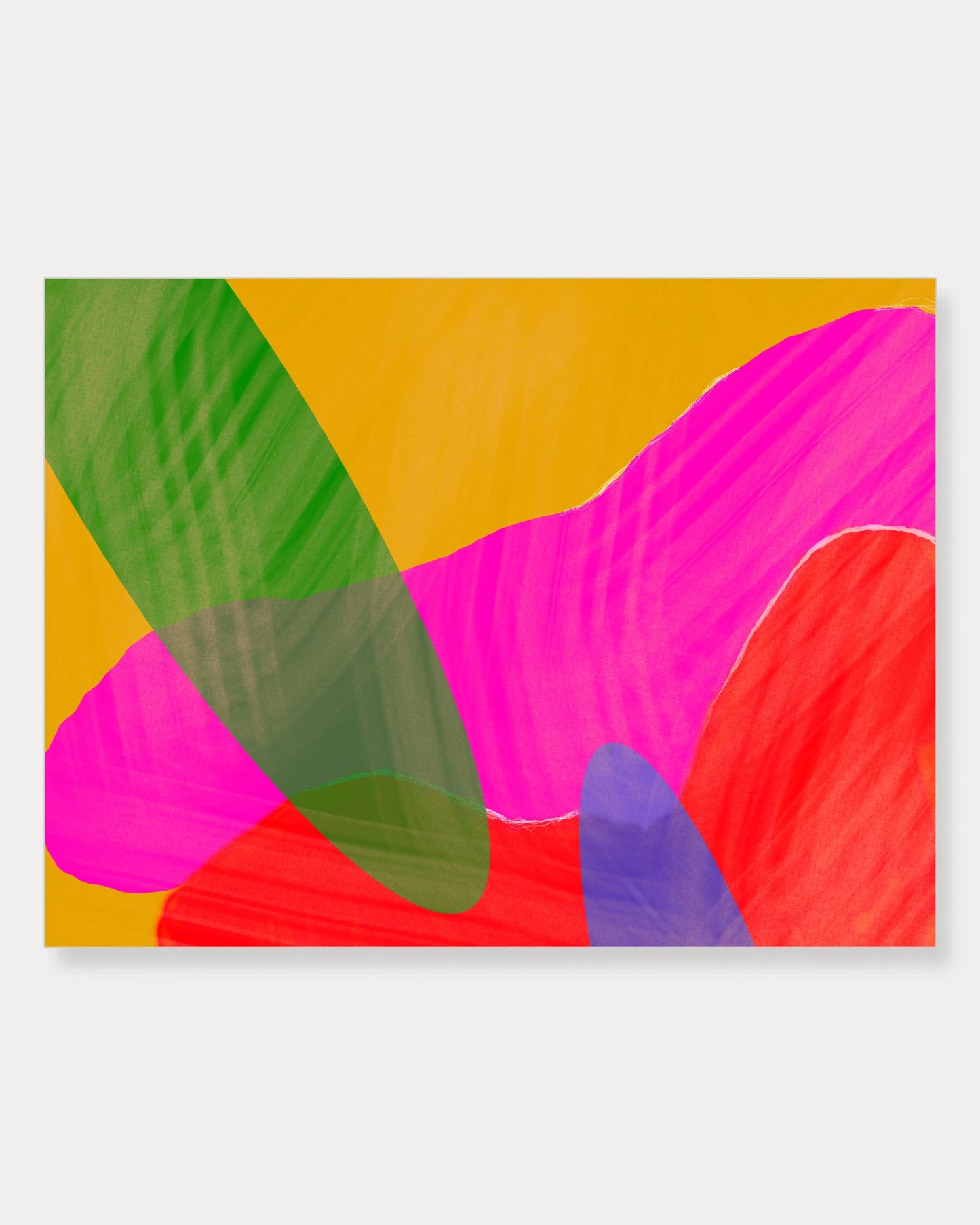 Composición en Rosa I