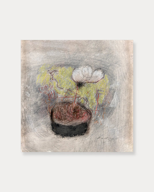 Potted flower